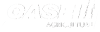 Case IH logo